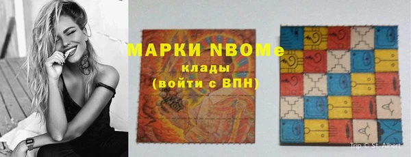 молекула духа Елизово