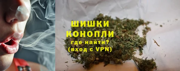молекула духа Елизово