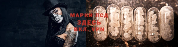 дмт Елабуга