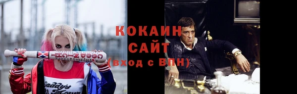 молекула духа Елизово