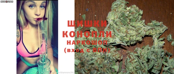 молекула духа Елизово