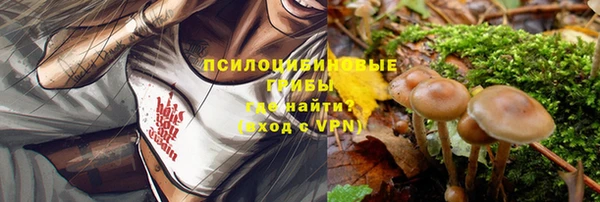 дмт Елабуга