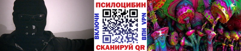мега ТОР  Гороховец  Псилоцибиновые грибы Magic Shrooms 